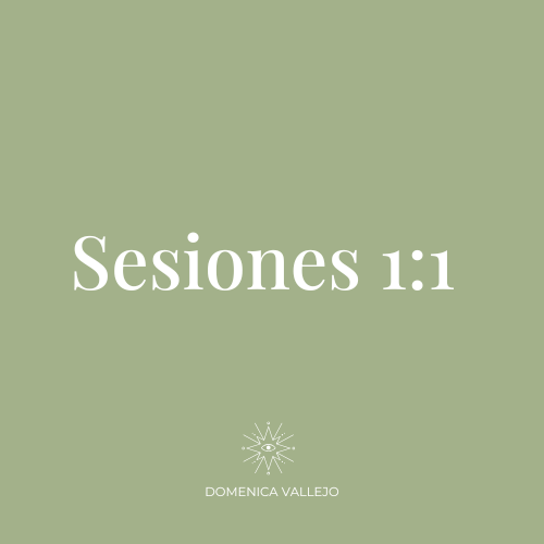 Sesiones 1:1